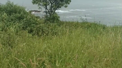 Robyn Barebacking Me Hard