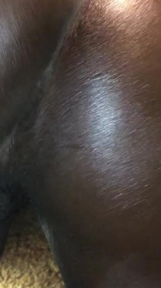 Black Booty Wants BBC