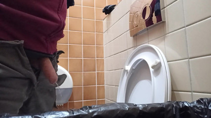 Pissing in Public Toilet