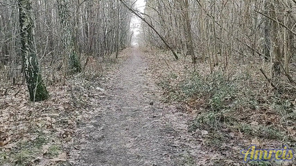 Need a Place to Cum! Part 2