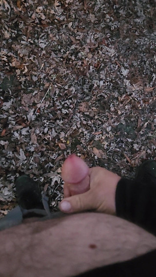 Enjoying a Late Night Walk