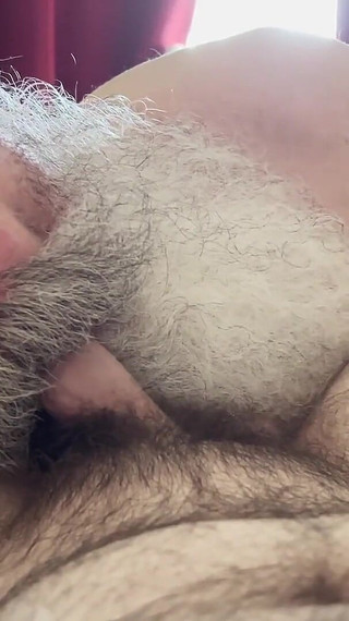 Big Bearded Stepdaddy Sucks Cub Cock