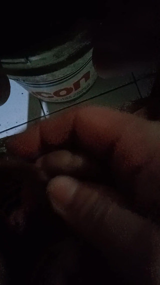 Penis with Prayer Beads