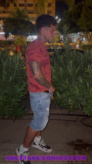 I Piss in the Street 2 Times and People Watch Me