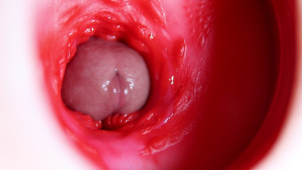 Nice Big Head Slides Inside Best Friend's Sweet Shiny Hole!