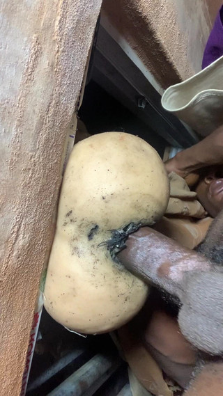 Let Me Fuck This Big Slut so Hot by Hearing My House Neighbors Ringing Tone When Getting Fuck by Anal