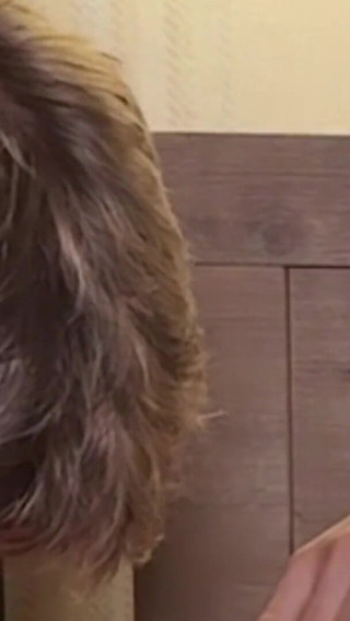 I Suck and Take My Friend's Big Cock in My Ass