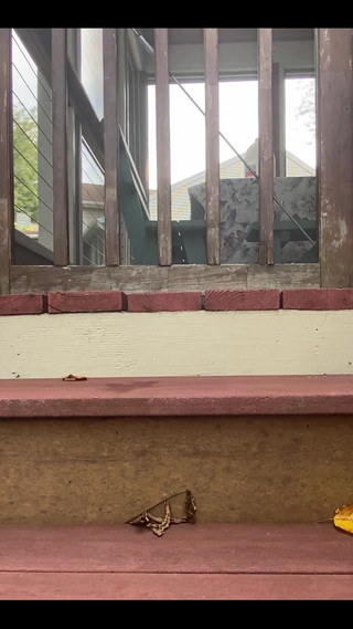 Fucking the Toy Until I Blow a Load