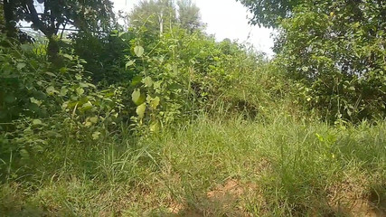 Indian Young Boy Sex in Public Place