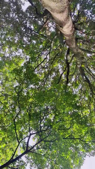 Slutboyben Cam4 Sexy Cruising Chick Iii Live Outdoor Exposure