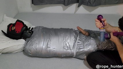 My Mummy Doggo Being Used