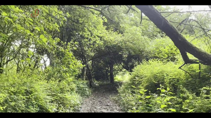 New Travel Blog! This Time We Went to a Castle and I Blowed His Flourish