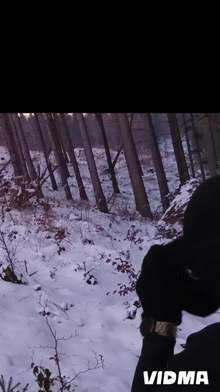 Nude Nature in Winter