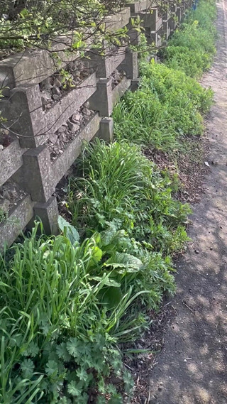 Compilation of Me Taking Long Naughty Piss in Public Park