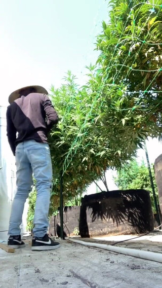 I Want to Fuck You in the Field