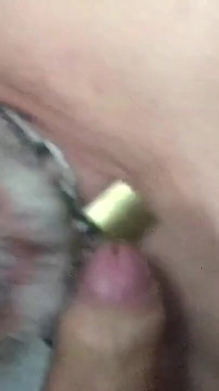 Nypster Vs Anonymous Bear