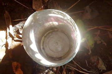 White Dibba Piss Tribute